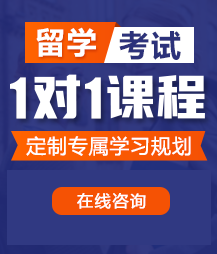 嗯…啊操我视频留学考试一对一精品课